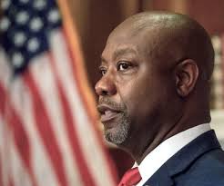 Sen. Tim Scott to Newsmax: 'Red Wave' Possible for GOP in 2024