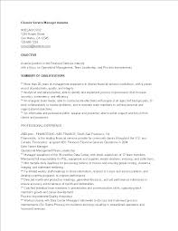 Chief financial officer (cfo) comments the content of the following job description is based on the assumption that the the chief financial officer position is accountable for the administrative, financial, and risk management operations of the company, to include the. Finance Service Manager Resume Templates At Allbusinesstemplates Com