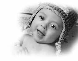 Gibson, livestock execs plead guilty