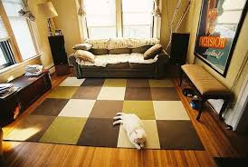 Carpet cleaning in South Lyon