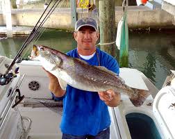 Pin By Coastal Conservation Associati On Fish Pics Fish Red Fish Salt Water Fishing