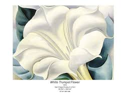 I love georgia o'keeffe's large flower paintings. Georgia O Keeffe Ppt Video Online Download