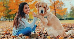 Examples of one of what we consider the most important exercises in puppy culture. 4 Paws Dog Is 1st In Uk History To Be Chosen For Alaska Program Uknow