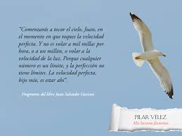 Libros Inolvidables Juan Salvador Gaviota Juan Salvador Gaviota Pensamientos Libros