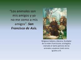 Frase Animales San Francisco De Asis Buscar Con Google San Francisco De Asis Francisco De Asis Frases De Santos