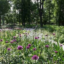 Garten Und Landschaftsarchitektur Pelz