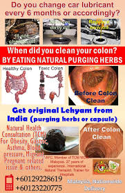 Biovea.net has been visited by 10k+ users in the past month Colon Cleansing Herbs Colon Cleansing Herbs Malaysia Natural Colon Cleanse Colon Cleanse Cleansing Herbs