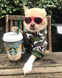 Cat eye too roundbody🙌🏻👏🏼big difference if you ask me🙌🏻