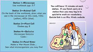 Cytoplasm function in animal cell quizlet. Wednesday February 21 2018 Teks 7 12d Differentiate Between Structure And Function In Plant And Animal Cell Organelles Including Cell Membrane Cell Ppt Download