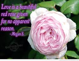 Quotes on flowers and love in hindi. Beautiful Flowers Love Quotes Quotes Blog