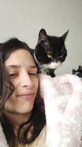 Hey, just had a call off my mum. A grey cat has been hit