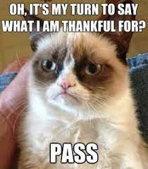 14 Grumpy Cat Thanksgiving Ideas Grumpy Cat Grumpy Grumpy Cat Quotes