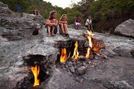 Redhead offers a wide selection of casual clothing, workwear, hunting gear, boots and shoes, and shooting accessories perfect for any outdoorsman. Turkey Moments Of Nature Konrad Wothe