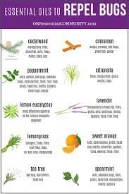 Top 10 Essential Oils That Repel Bugs Bug Spray Recipe Diffuser Blends And More Diy Recipes To Naturally Keep Bugs Away Bug Spray Recipe Essential Oil Bug Spray Homemade Bug Spray