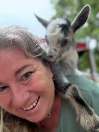 🐄Cuddle cows in Texas🐮 You can visit @texasgaushala right outside of  Houston TX, where you can spend time petting cows (they love their  brushes)! Tickets: $50 per person make sure to schedule