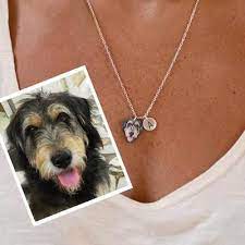 Pin On Pets Life Supplies Beds And Accessories