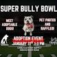 Super Bully Bowl