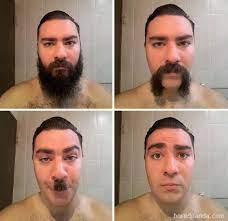 Pin On Beards