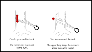 To anchor стать наякорь anchoring постановка на якорь то drop an anchor. How To Rappel From A Tree Illustrated Guide Climb Tall Peaks
