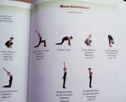It is also sometimes known as the resting pose and is a great neutral. Hatha Yoga Illustrated Moon Salutations Hathayoga Com
