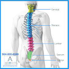 Www xnxvideocodecs com xxvidvideocodecs com american express / xxvidvideocodecs com american express x : Knowing Your Spine Anatomy Absolute Injury And Pain Physicians