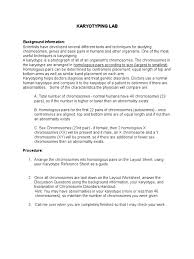 Human karyotyping in the human karyotyping gizmo™, you will make karyotypes for five individuals. 33 Chromosome And Karyotype Review Worksheet Answers Free Worksheet Spreadsheet