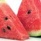 Suwannee Valley Watermelon Institute