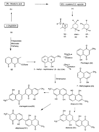 Image result for Diospyros loureiriana