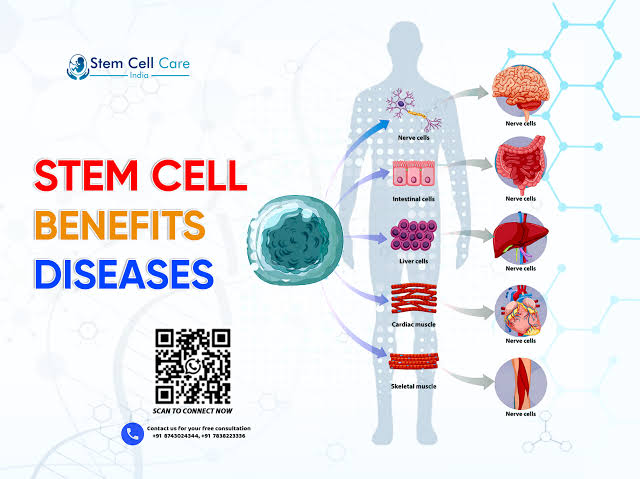 Stem Cell Benefits Diseases Home
