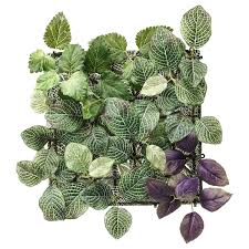 Malaysia is a megadiverse country, of which two thirds is covered in forest which is believed to be 130million years old. Fejka Wall Mounted In Outdoor Green Lilac Artificial Plant Ikea