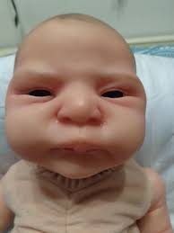 Reborn Cassia by Sylvia Manning