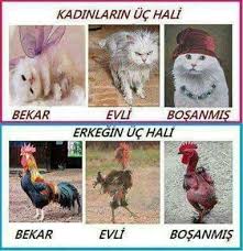 Ayse Usta Adli Kullanicinin Komikler Ve Karikatur Panosundaki Pin Komik Resimler Komik Komik Seyler