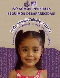 Familias Unidas En La Busqueda Y Localizacion De Personas Desaparecidas... 