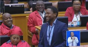 Comment must not exceed 1000 characters. Six Of Mbuyiseni Ndlozi S Best Burns In Parliament The Daily Vox