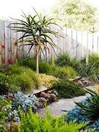 Image Result For Water Wise Rock Garden South Africa Tropical Garden Design Native Garden Waterwise Garden