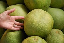 Kalın ve sert kabuğu ile bilinir. Pomelo Turkiye De Sadece Antalya Da Yetisiyor Is Yasam Haberleri