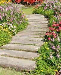Dans ce cas, rien de mieux que des plantes à disposer sur votre balcon ou votre terrasse. Plantes Vivaces Pour Bordure Achat Vente Plantes De Bordures De Jardin