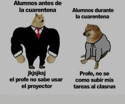 Genero no binario & más. Cheems Un Lomito Famoso En Stickers Y Memes Festeja Sus 10 Anos De Edad Contrareplica Noticias