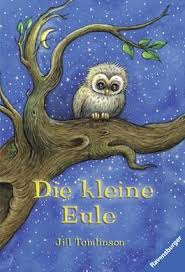 Dass Ausgerechnet Eine Eule Angst Vor Der Dunkelheit Hat Ist Wirklich Sehr Ungewohnlich Mama Eule Schickt Deshalb Ihren Nachtsc Kleine Eule Eule Schleiereule