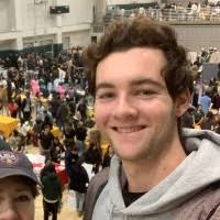 600+ "Dipinto" profiles