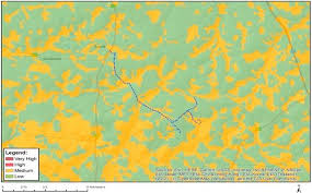 Image result for Lipocarpha rehmannii