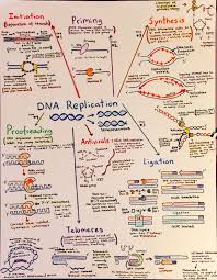 Introductory Biochemistry Flowcharts Biology Lessons Biology Notes Science Notes