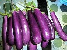 Afrikaans word albanian word arabic word bengali word chinese word croatian word czech word danish word dutch word english word finnish word french word german word greek word hindi word hungarian word icelandic word indonesian. Eggplant Wikipedia