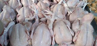 Cara memilih daging ayam yang masih segar. Ayam Potong Jumbo Home Facebook