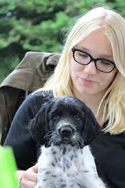 Große Münsterländer von der Kiwitzheide