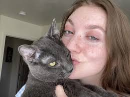 VCA Oquirrh Hills Animal Hospital