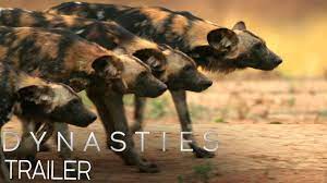 Dynasties Bbc Trailer Song Tv Advert Music