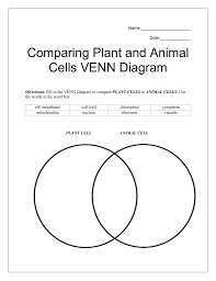 Maybe you would like to learn more about one of these? Comparing Plant And Animal Cells Venn Diagram Dakomo