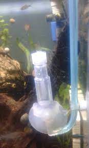 Jenis tanaman aquascape low co2 akan membuat akuarium tampak lebih sejuk. Cara Membuat Co2 Aquascape Diy Cisod Dan Ragul Pemula Binatang Peliharaan