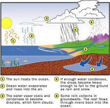 How Lightning Works Water Cycle Cloud Activities Water Cycle Diagram